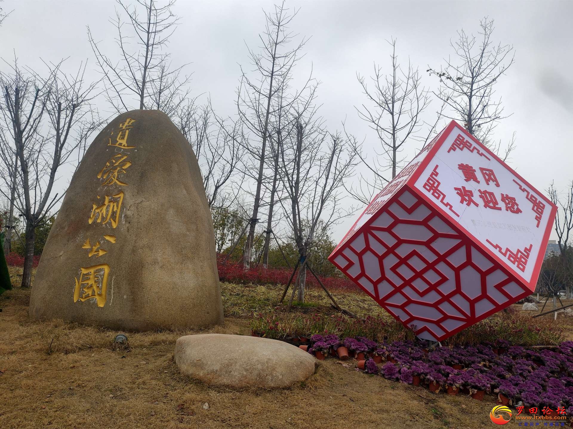20220209153753front2_0_1160_FqL8CIk1_1kzcCB8HxYfnP1hNfnm.jpg