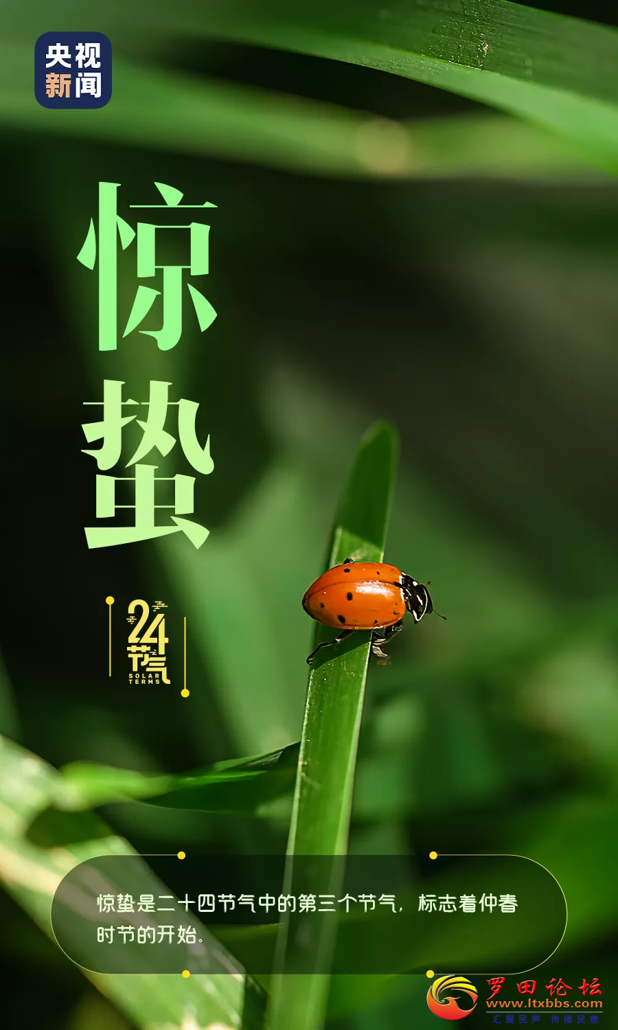20220305235051front2_0_1160_Fjd6Adla0nwfQeqiAPTXAfBxg6NC.png