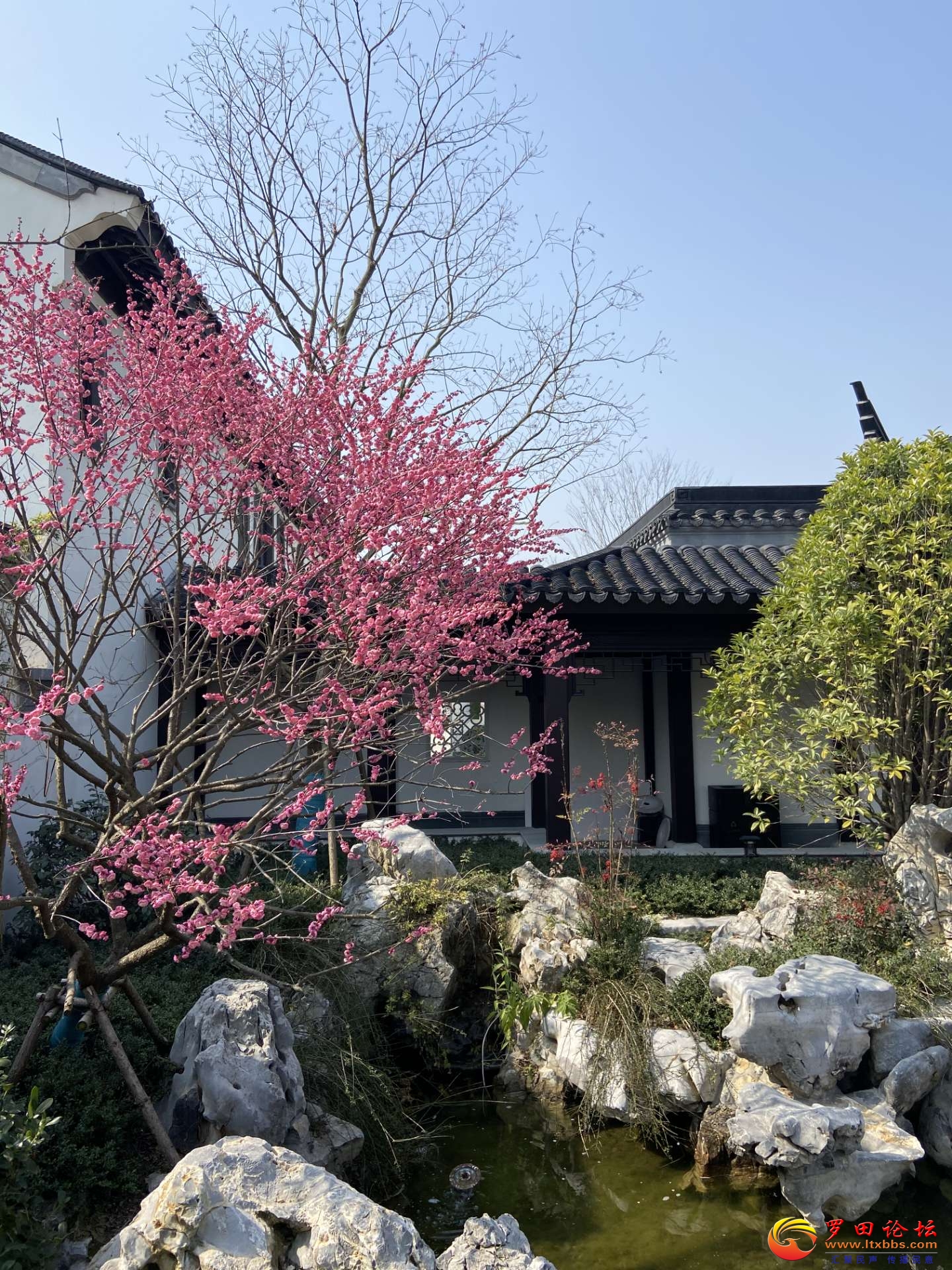 20220309225144front2_0_1160_FrFYkKOGEUn7Lhs9QYuoLPf-Ynmo.jpg