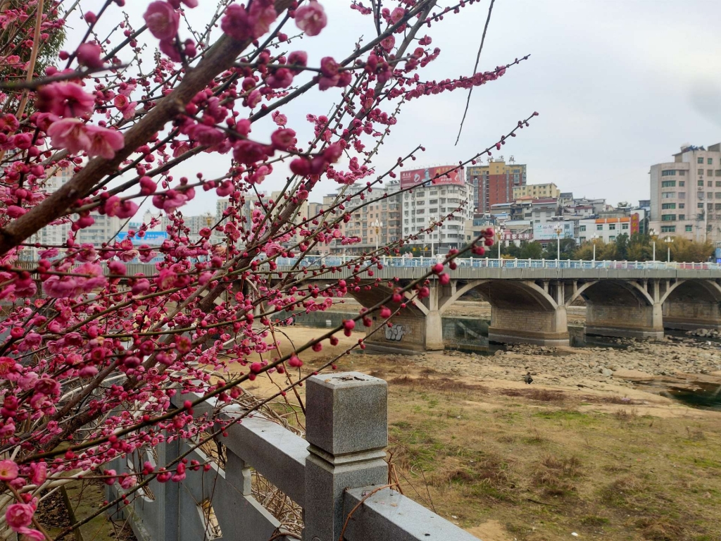 20220309222743front2_0_1160_Fj4SQClGdJ-PNSZGw1uRNPoN_-cl.jpg