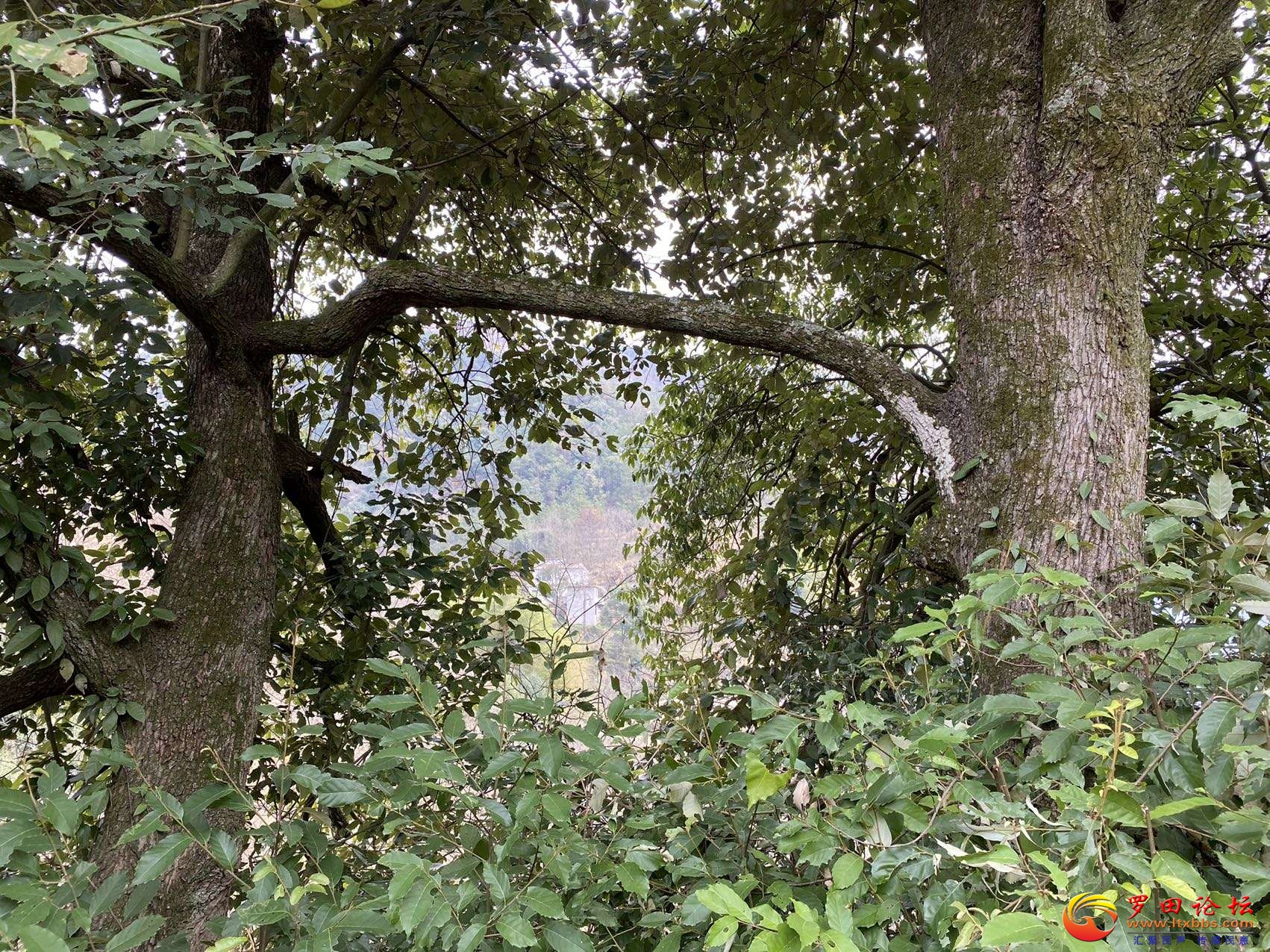 20220316193622front2_0_80444_FjKkDNkfVFxYTX0ZqApIZebRE7B3.jpg