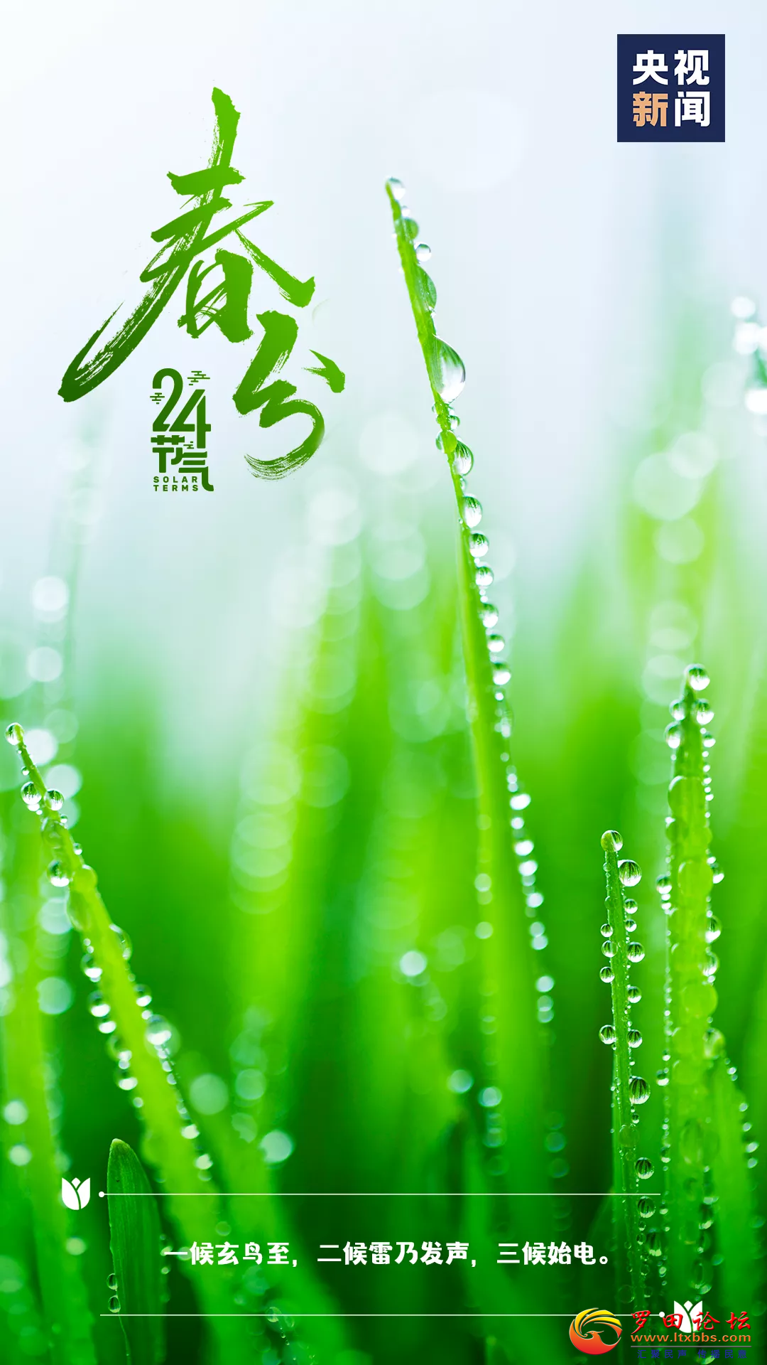 20220320163949front2_0_1160_FhsQIUd4MyELEz1rMXwHfl2vAblq.png