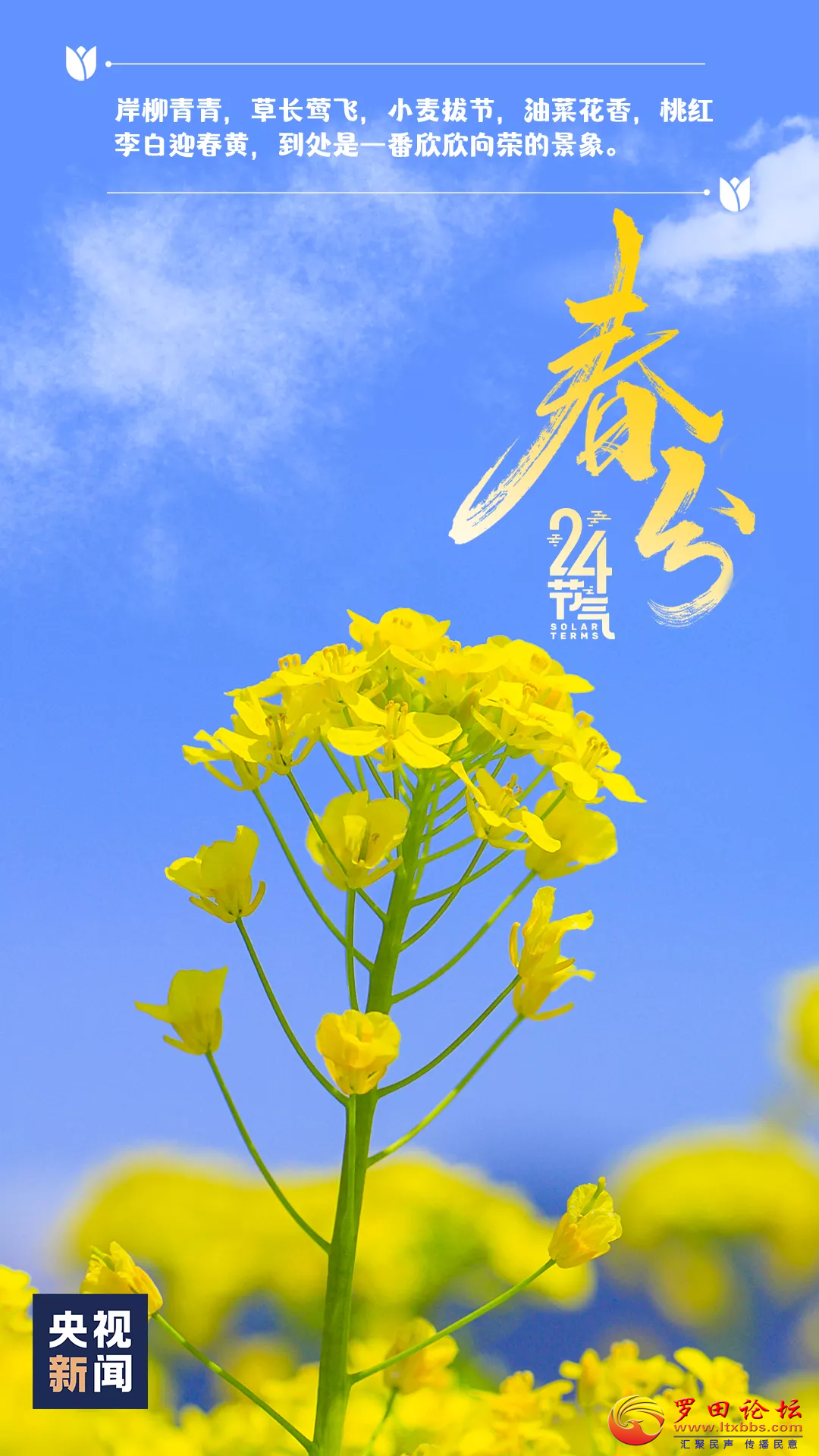 20220320163938front2_0_1160_FtMK4s4QqkH-kn6X21aRLAMLV5Uh.png