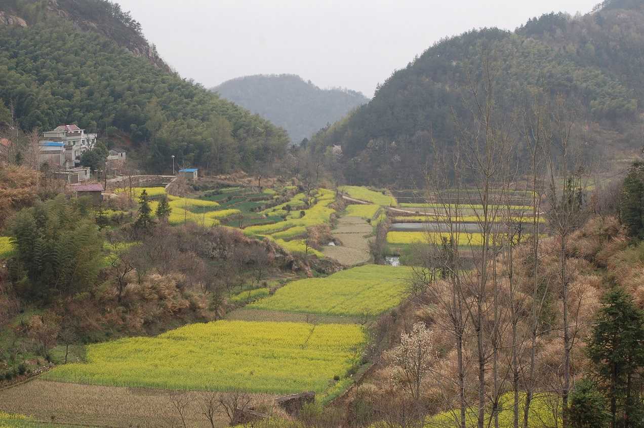 DSC_3200.JPG