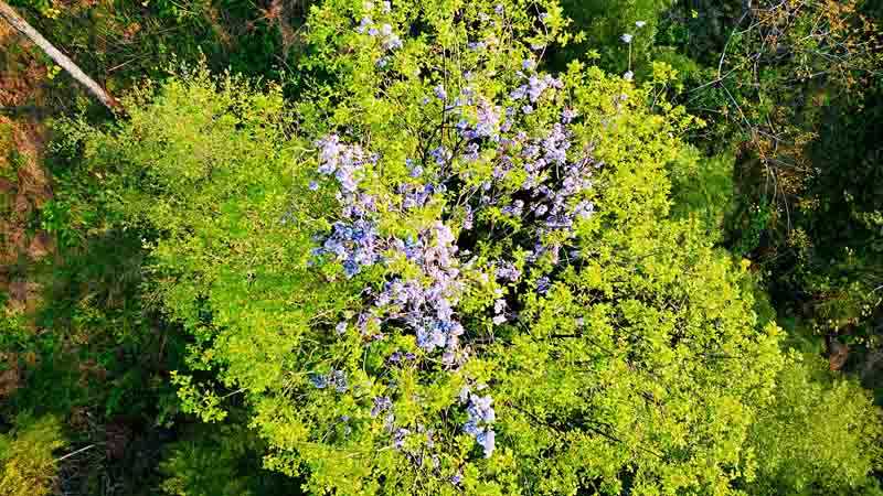 dji_export_1649324738670_mh1649333751867.jpg