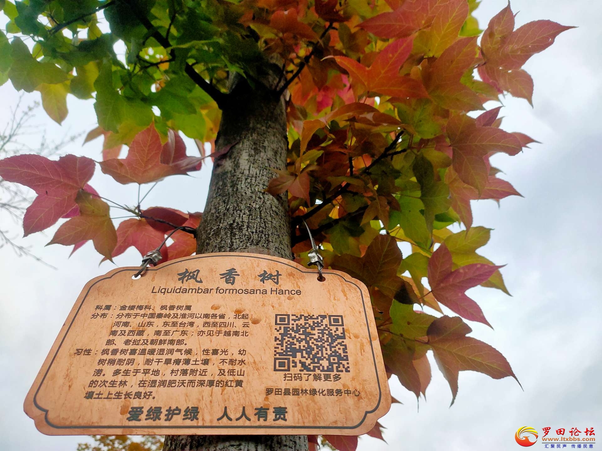 20220414223438front2_0_1160_FohWpl79oMTgyszqm1pXUqCRMKUW.jpg