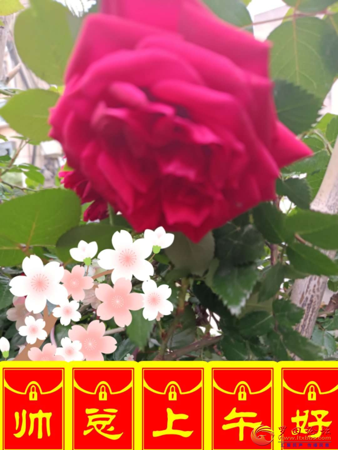 20220416084949front2_0_57696_FiCAEQroUOTc4MC78URhS3rgrjMX.jpg
