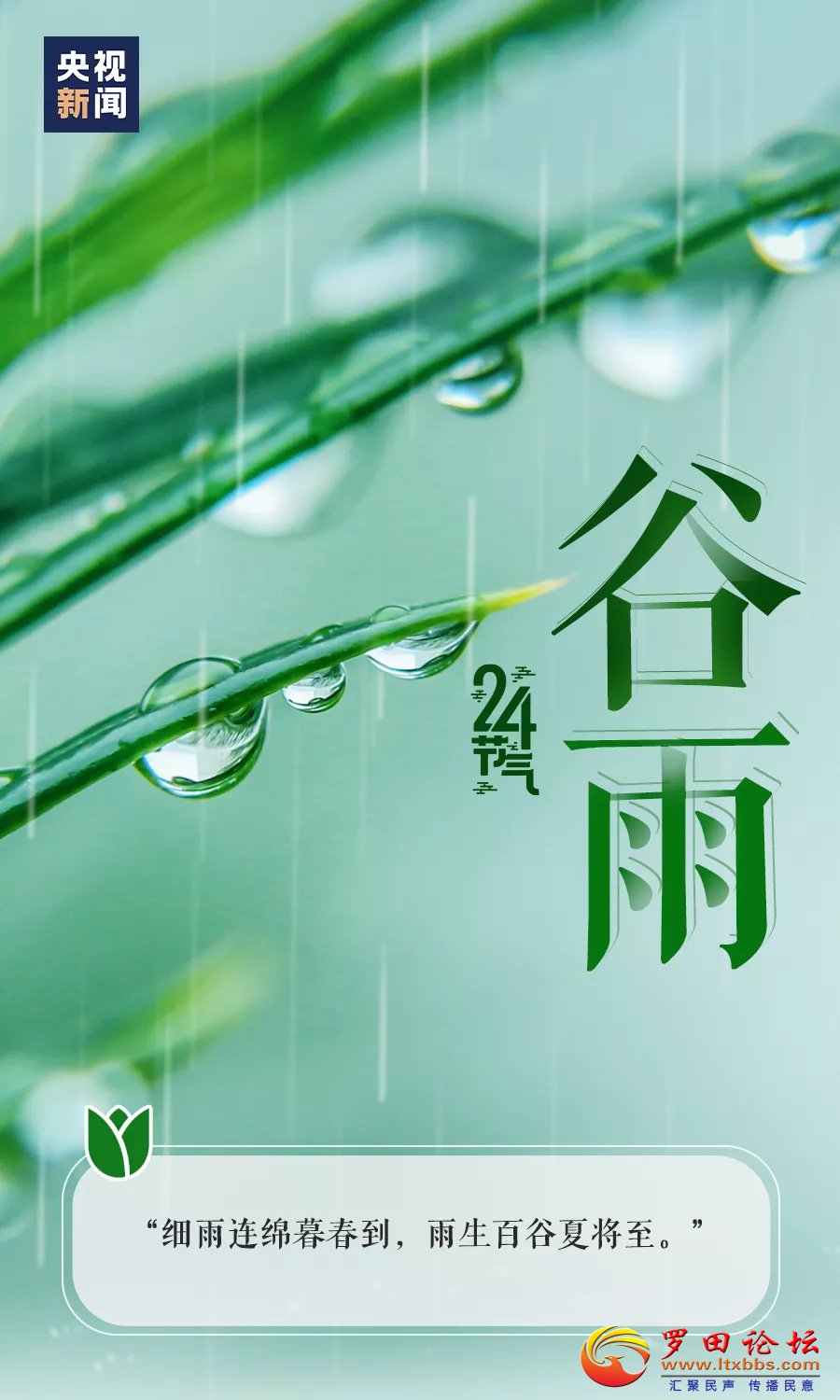 20220420101128front2_0_1160_Fluz7NHQG17fvO1XMIfu5uDBr_GL.png