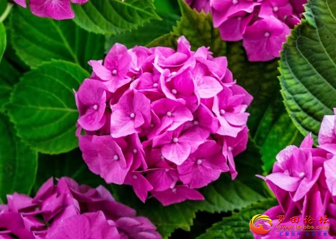20220426094235front2_0_1160_FheeF70vb9CGuEPHO7f0SUTVb257.jpg