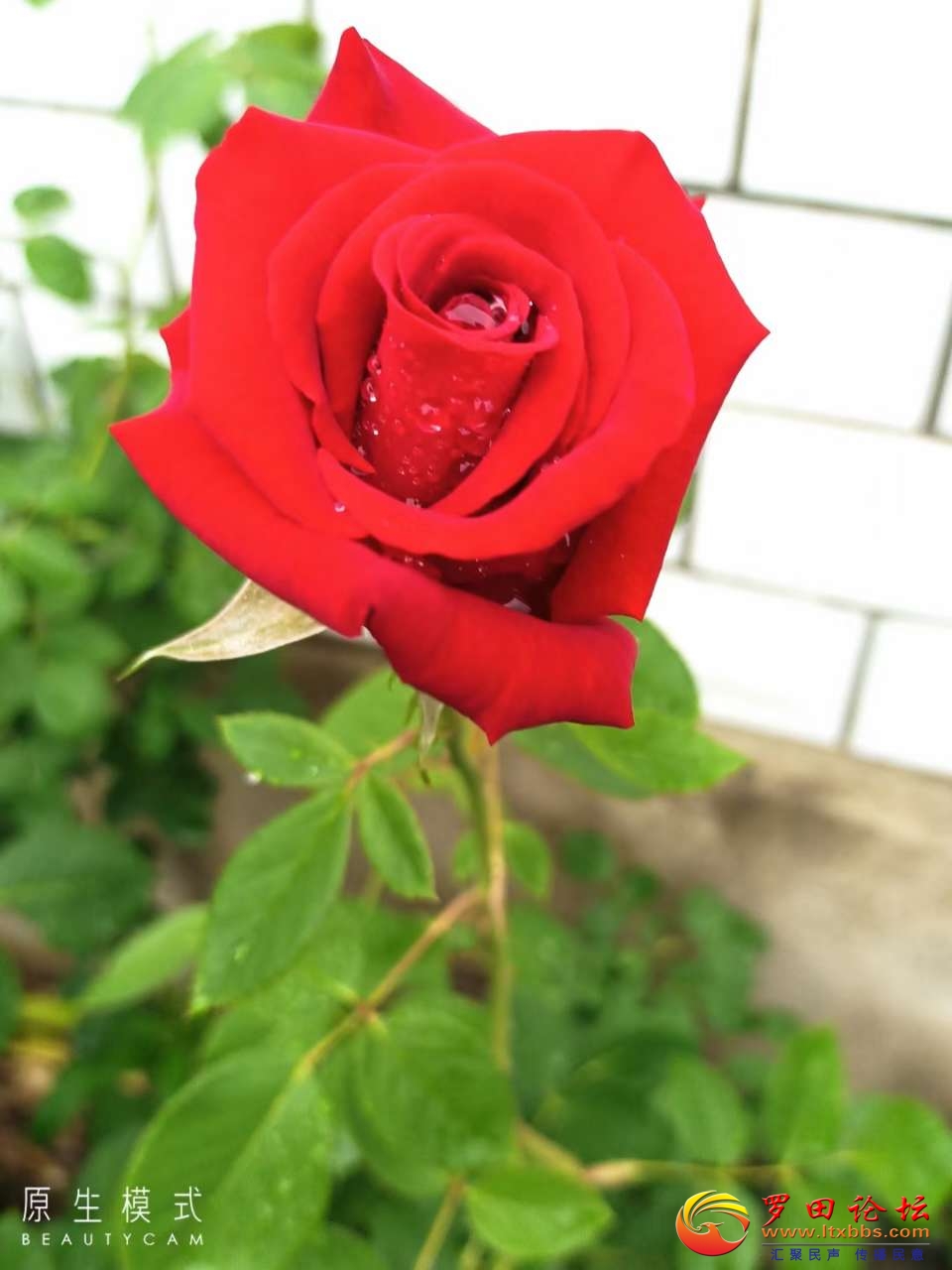 20220426_78056_1650944017685.jpg