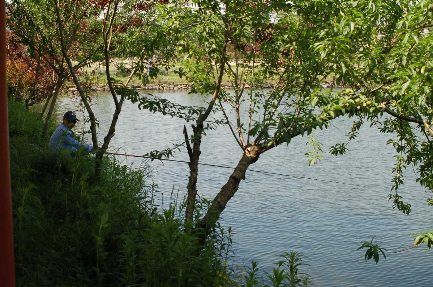 DSC_3370.JPG