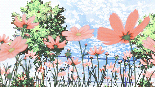 4.gif