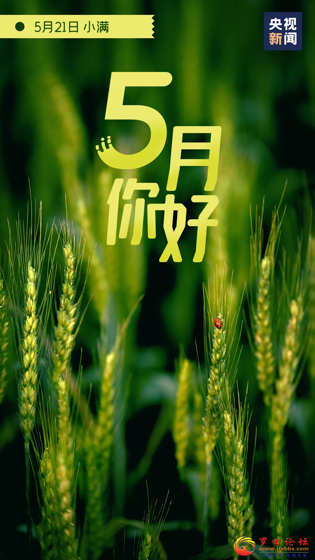 20220501091352front2_0_1160_FuLc4A5O3Z_HE4mWCJ6pv6B-36Ay.png