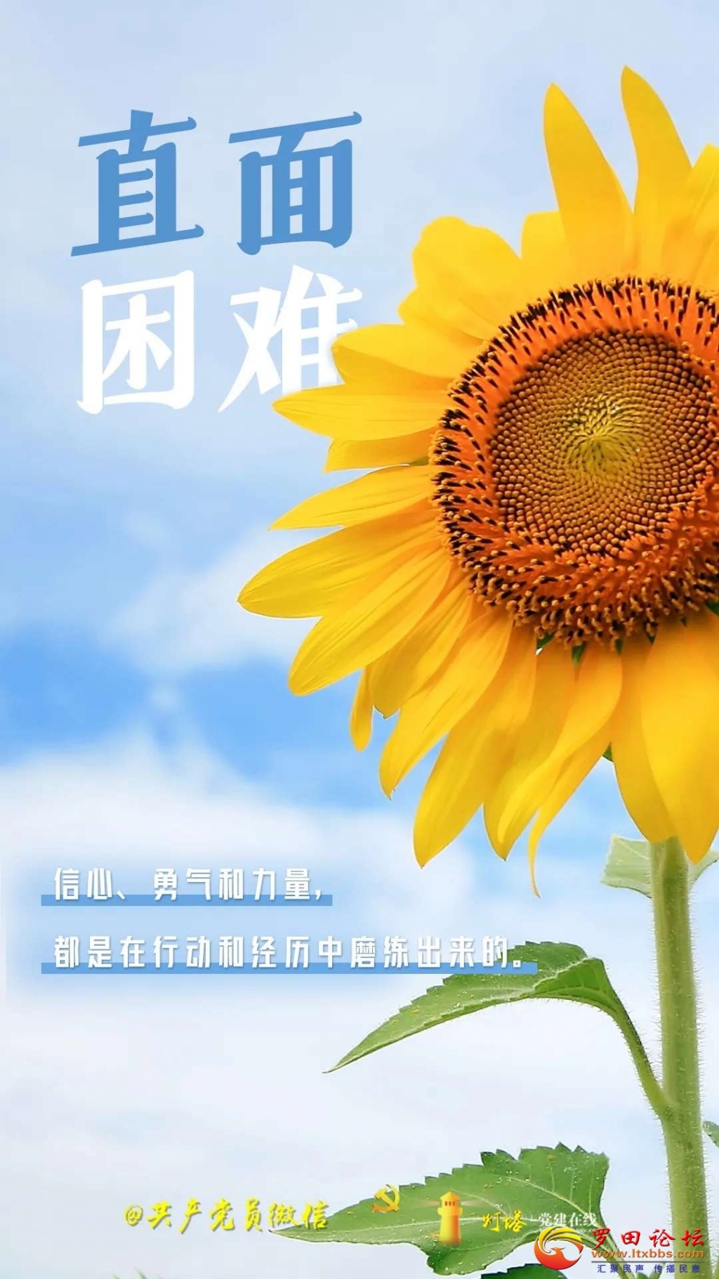 100811ej1n1o66a42enbvz.jpg