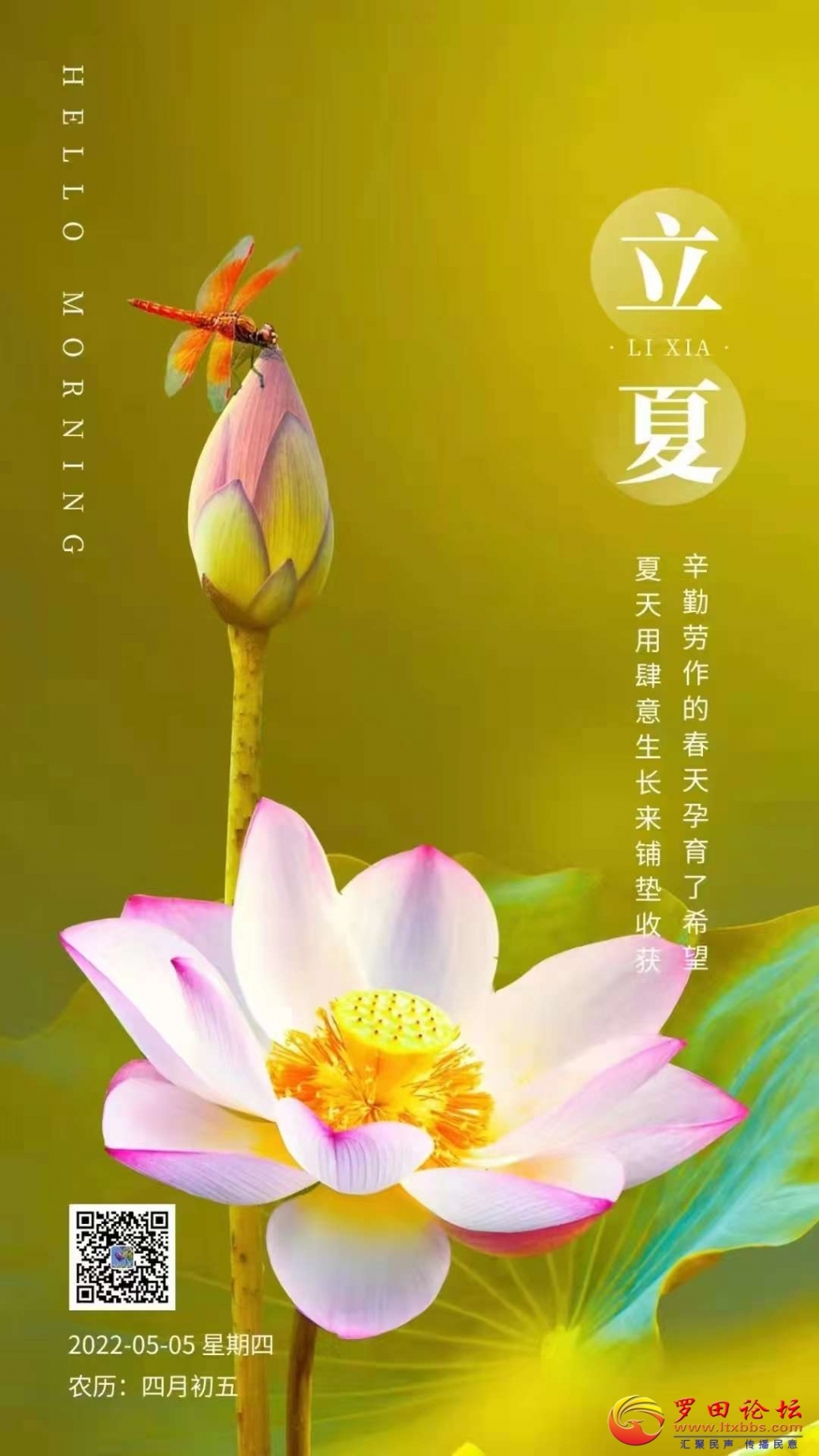150413jvlyrtao1fq8ztk1.jpg