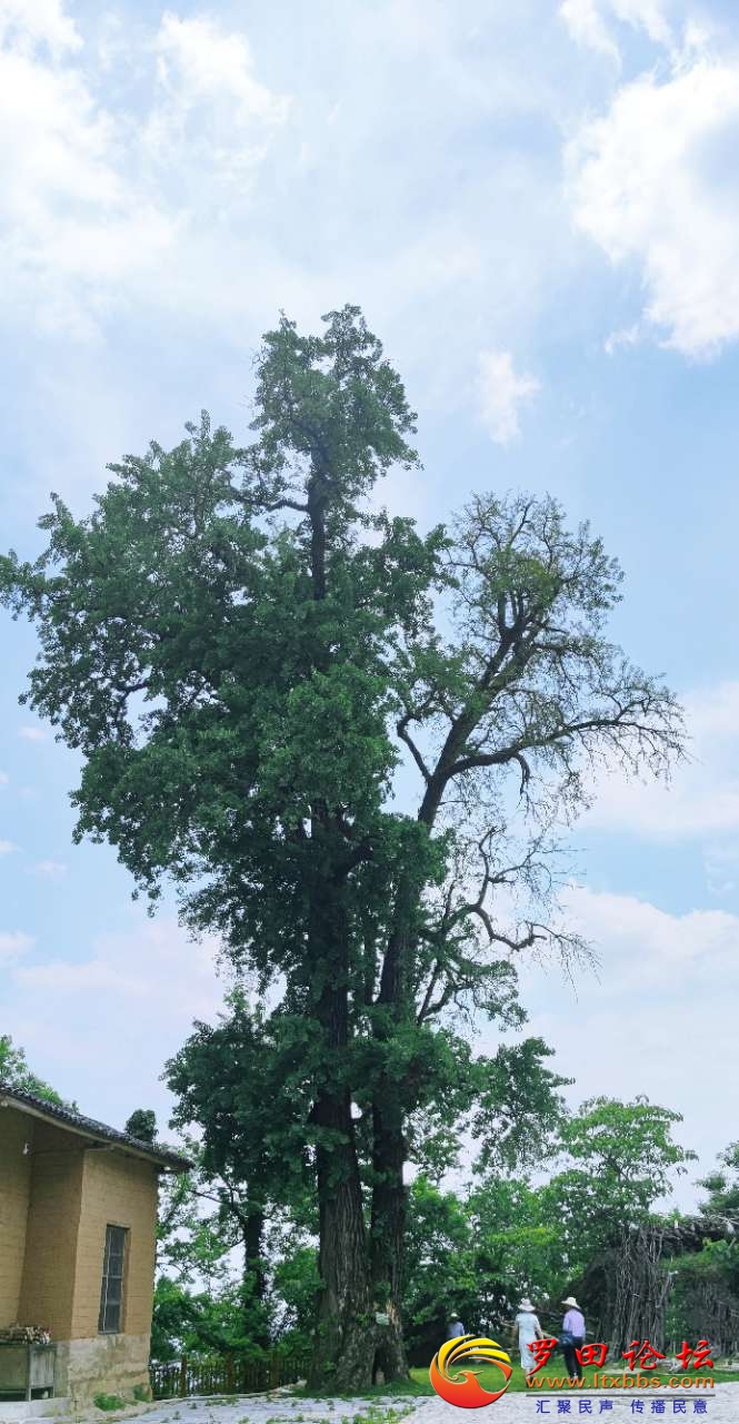 20220509_55541_1652087862026.jpg
