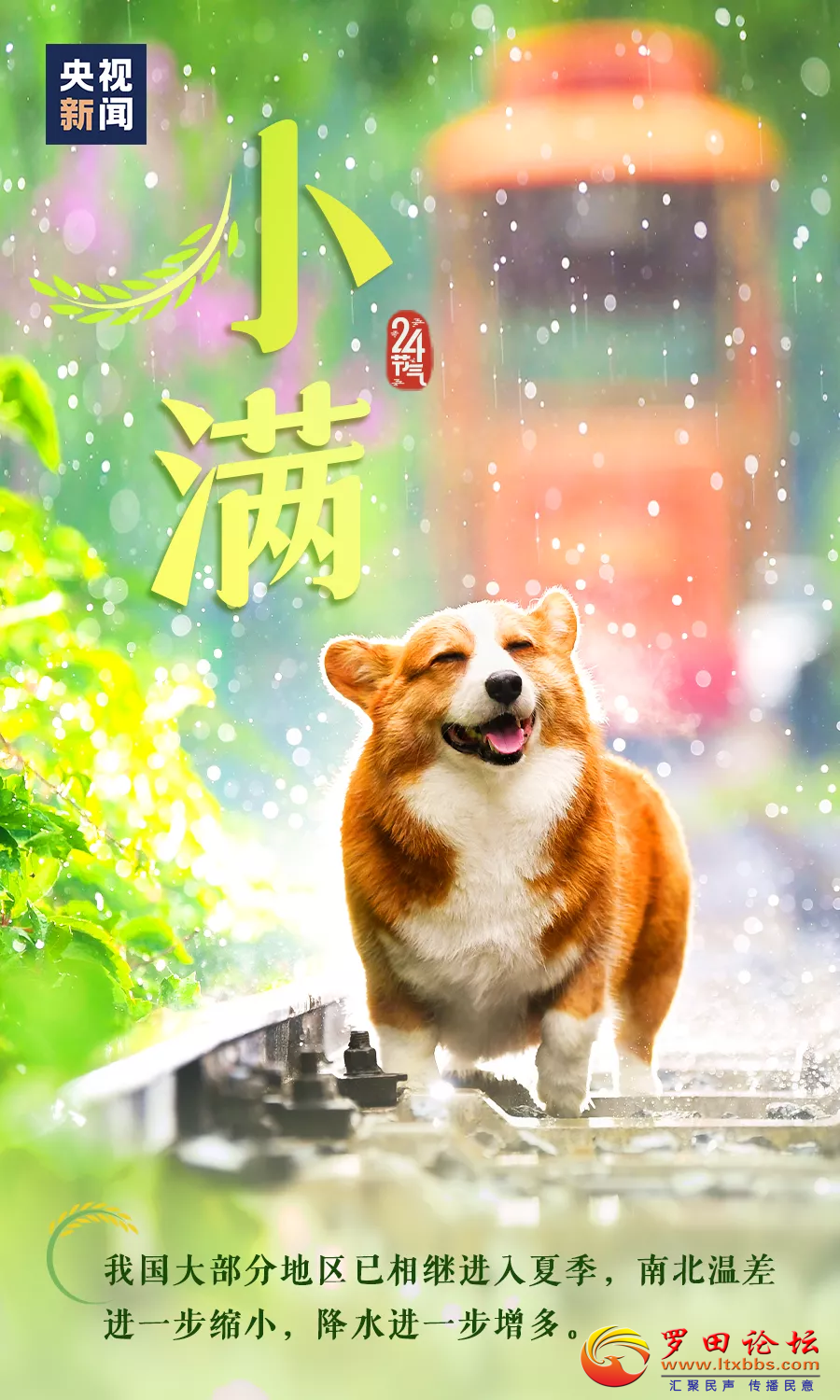 145931a1zfbt44ca434h3b.png