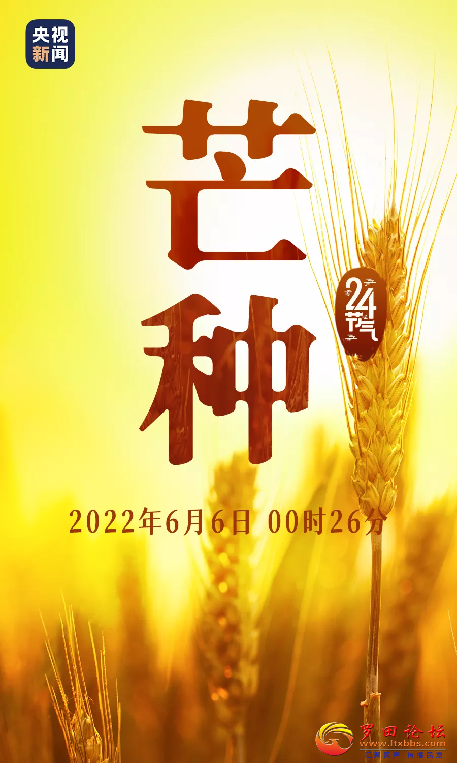 20220606133141front2_0_1160_ForEqUe09i0XpgQLrAHf_Ppto5U2.png