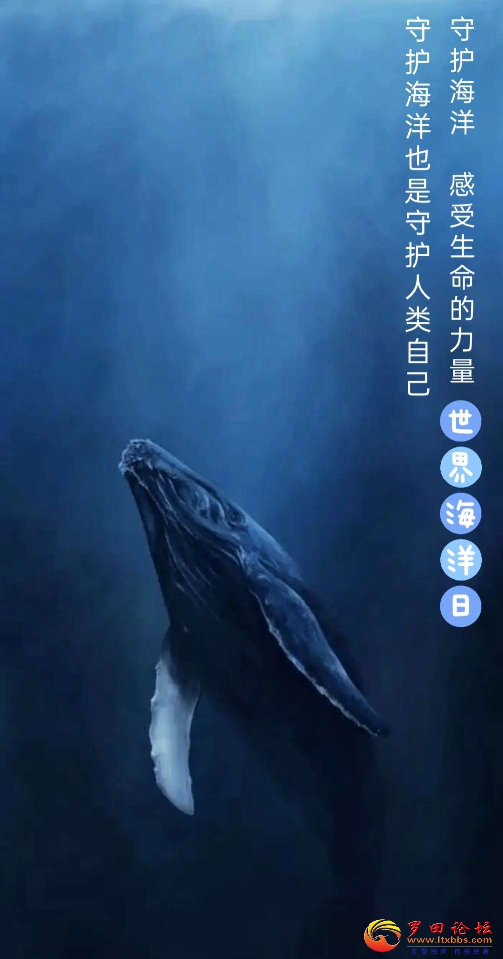234809cyguy1t4toe6tu86.jpg