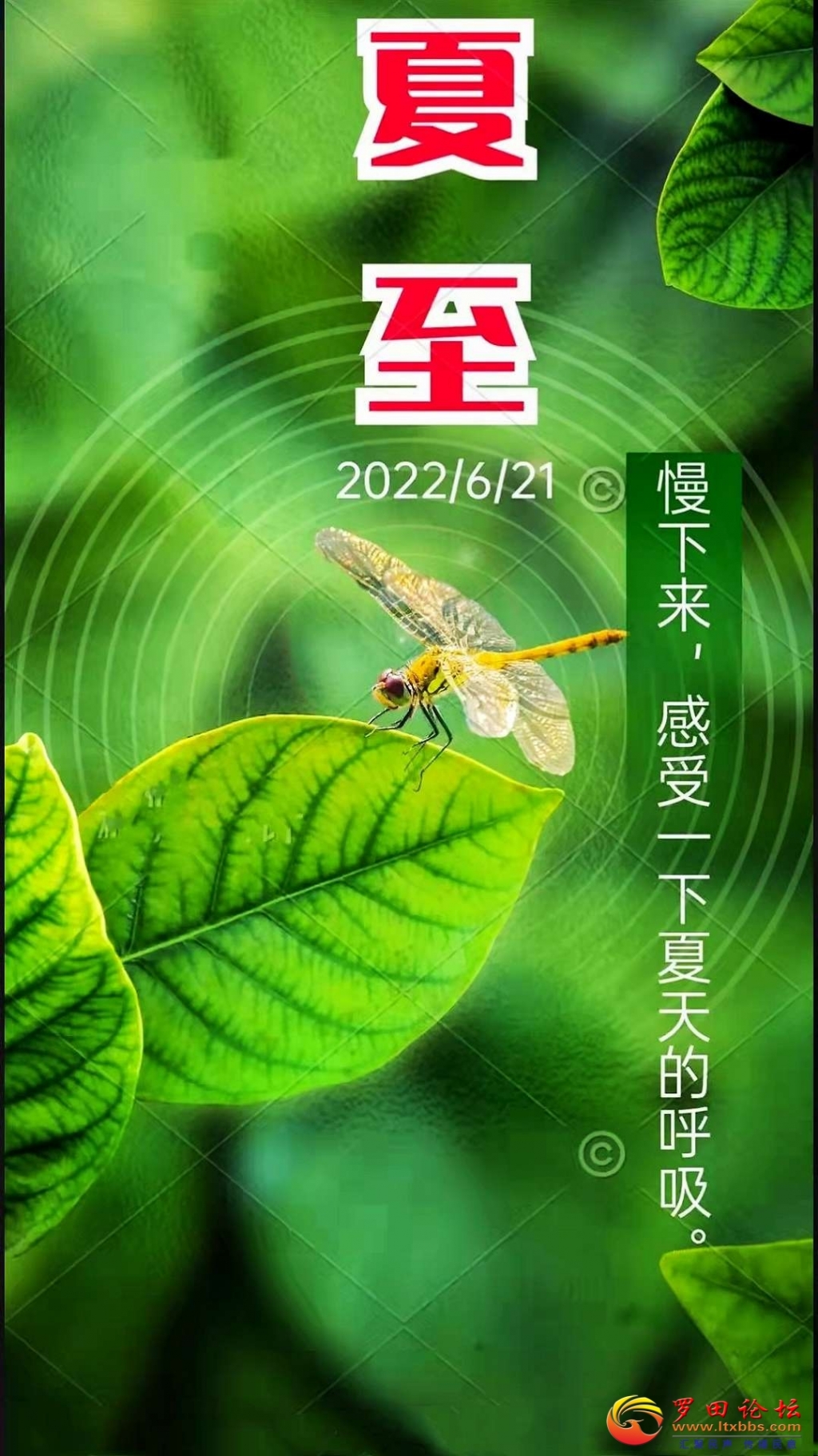 155900jzwbwualudzgdgww.jpg