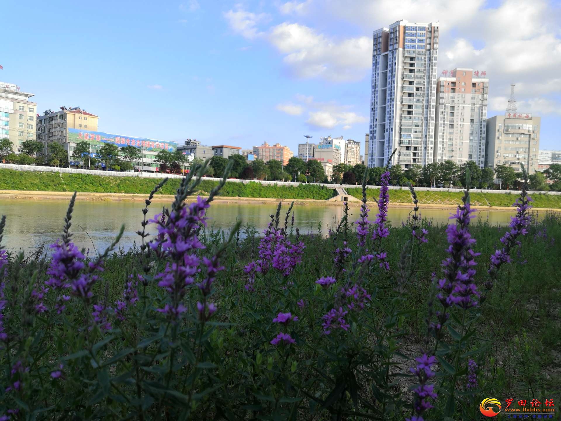 20220630215645front2_0_1160_FuzUIl-79SJ0Pmwjnf5CE-nd5V5Z.jpg