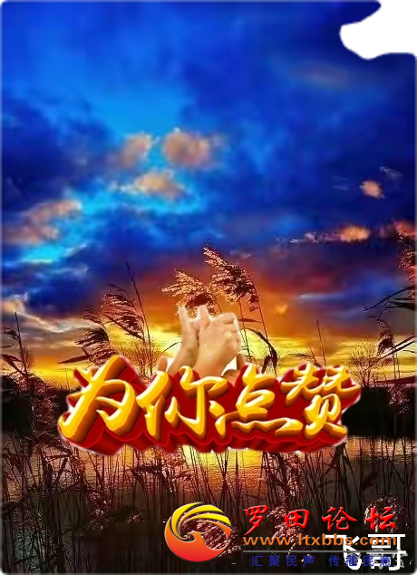 20220708172036front2_0_80444_FrANrhFDsOxjiJ5Fk2jMDeCkcJ_k.png