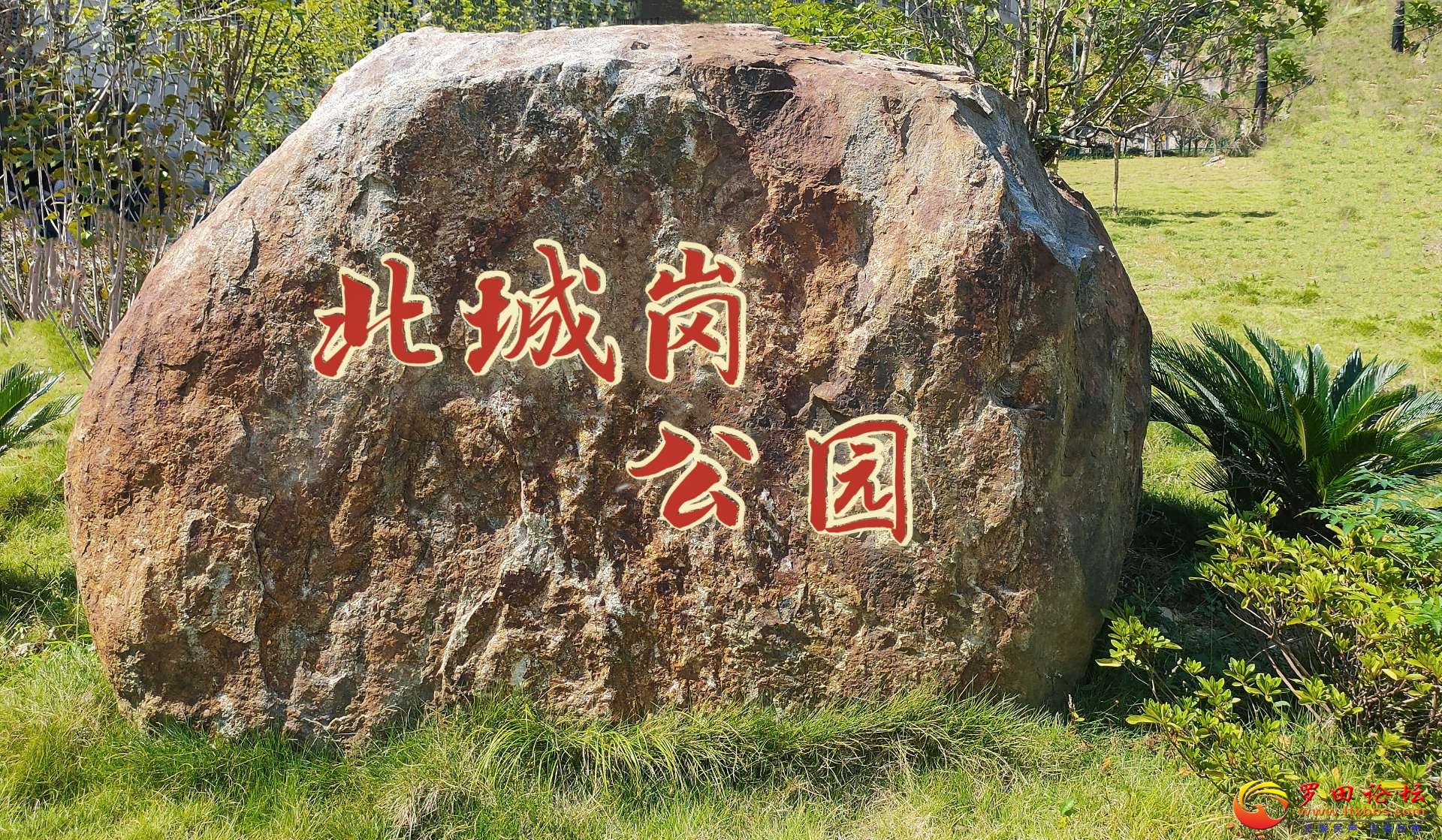20220709170819front2_0_1160_FvE93YDFUM_zv9eEdo-eTilGnrww.jpg