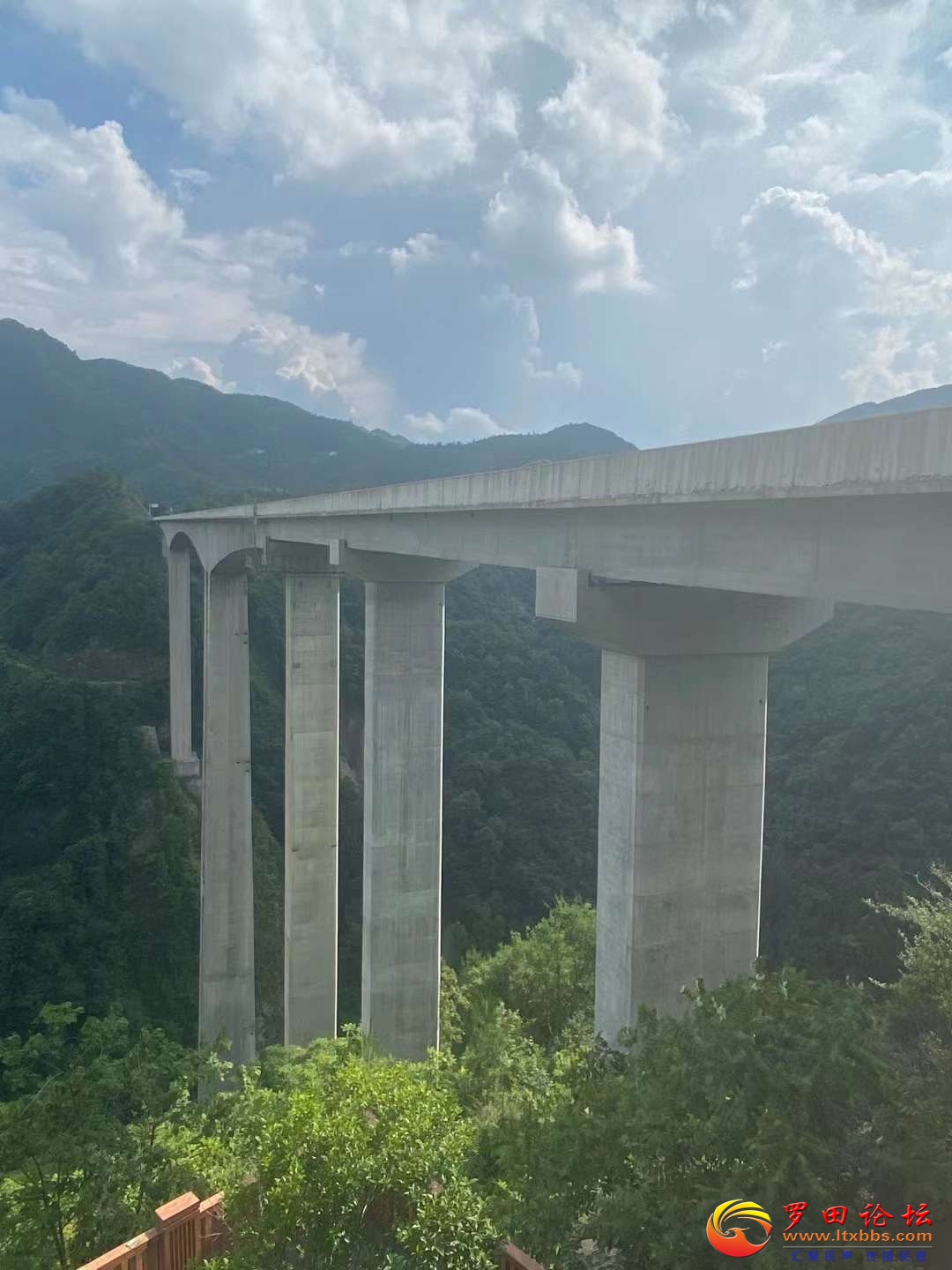 20220710094502front2_0_31411_FrtgyhTY5VGvjaJDq1CiH6BHhKUb.jpg