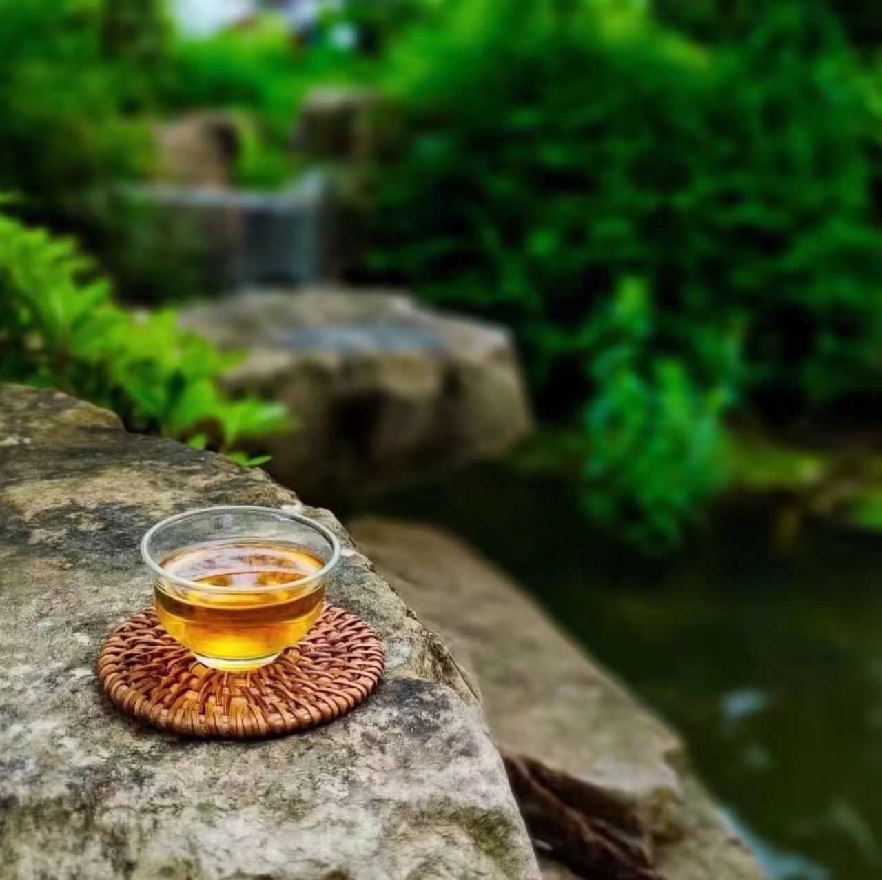 1658293603271.jpg