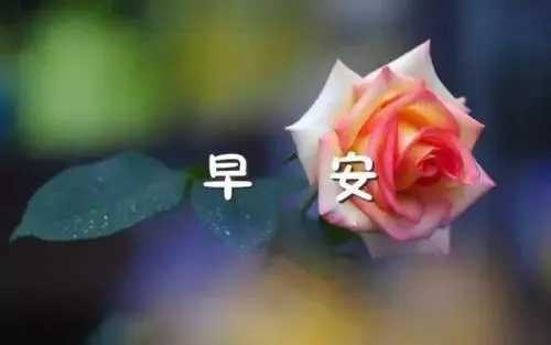 075518yj75gbbbo87ob7gk.png