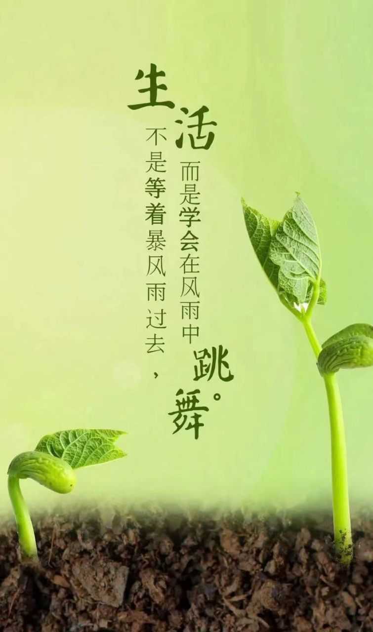1658891841801.jpg