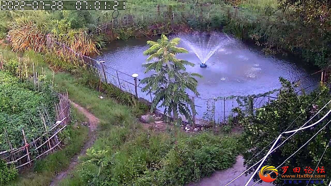 20220728_78056_1658976209968.jpg