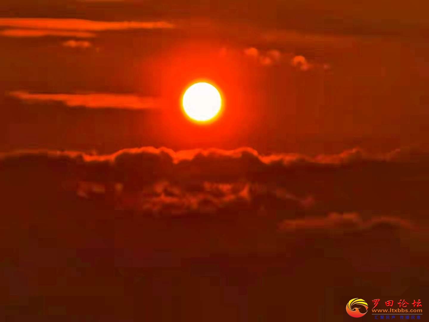 20220801092335front2_0_1160_FkCnWhRc2peJHoEjVfPQ5RIPnrG-.jpg