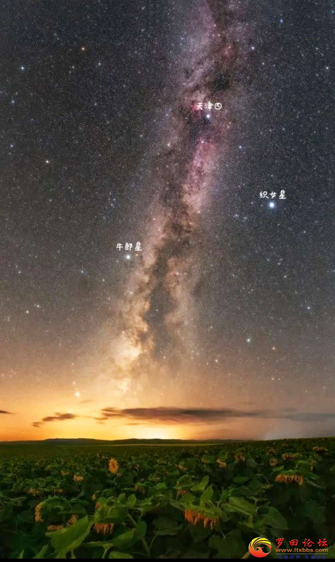 20220804150027front2_0_1160_FjDudb7GhY8LMiY8eJXnWoFFr_nR.jpg