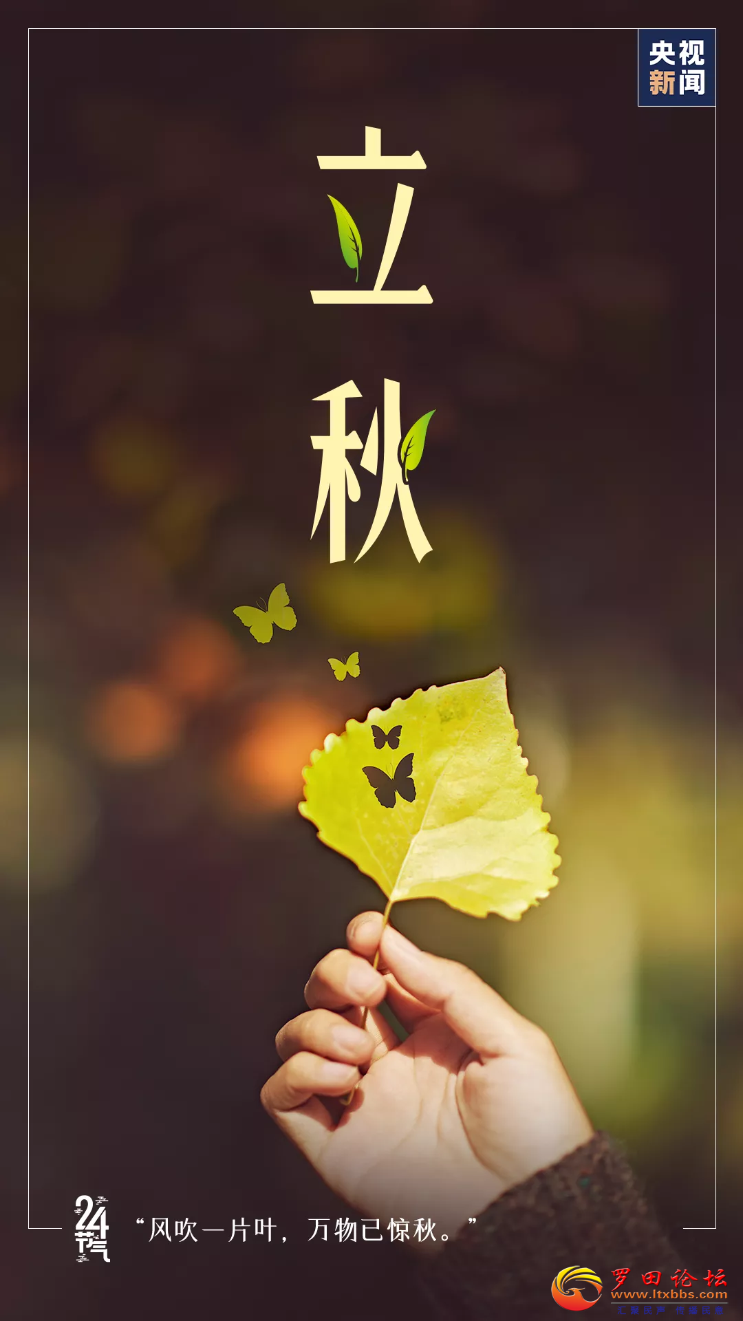 20220807103645front2_0_1160_Fovow6Gt85ajXYumYk7Lwoq1-ya8.png