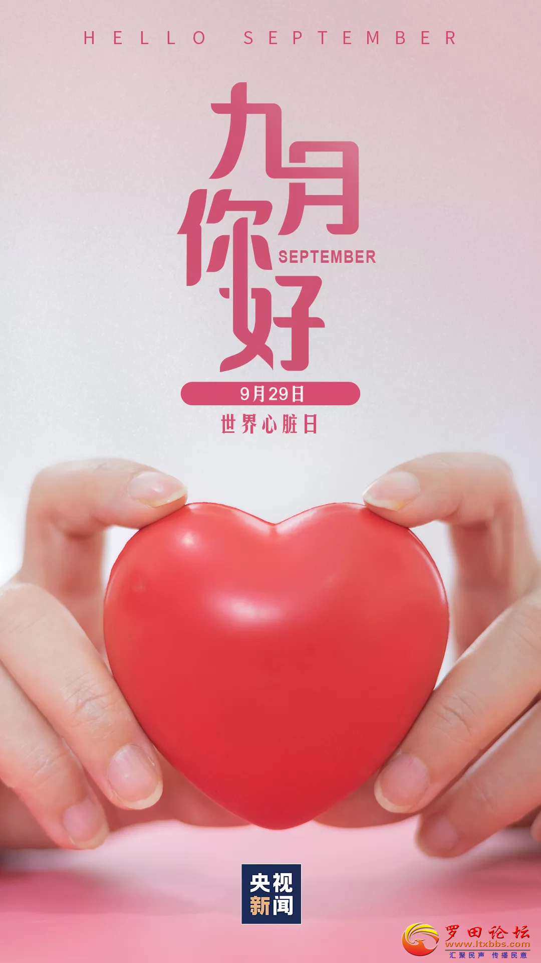 20220901075219front2_0_1160_FoDH4VxQ9E3saqHtSailAgpWrWfm.png