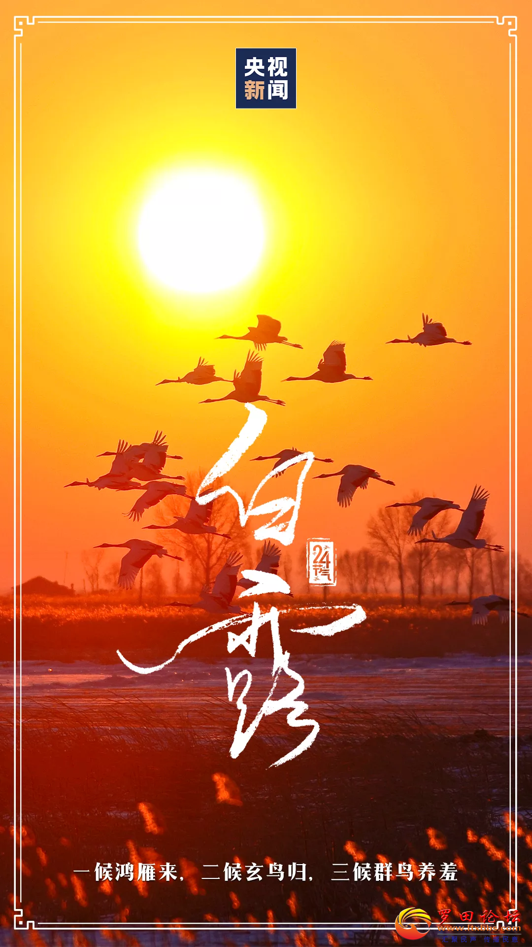 20220907080615front2_0_1160_FrnmssmhZ2-zoZ617RR9LF6TTeju.png