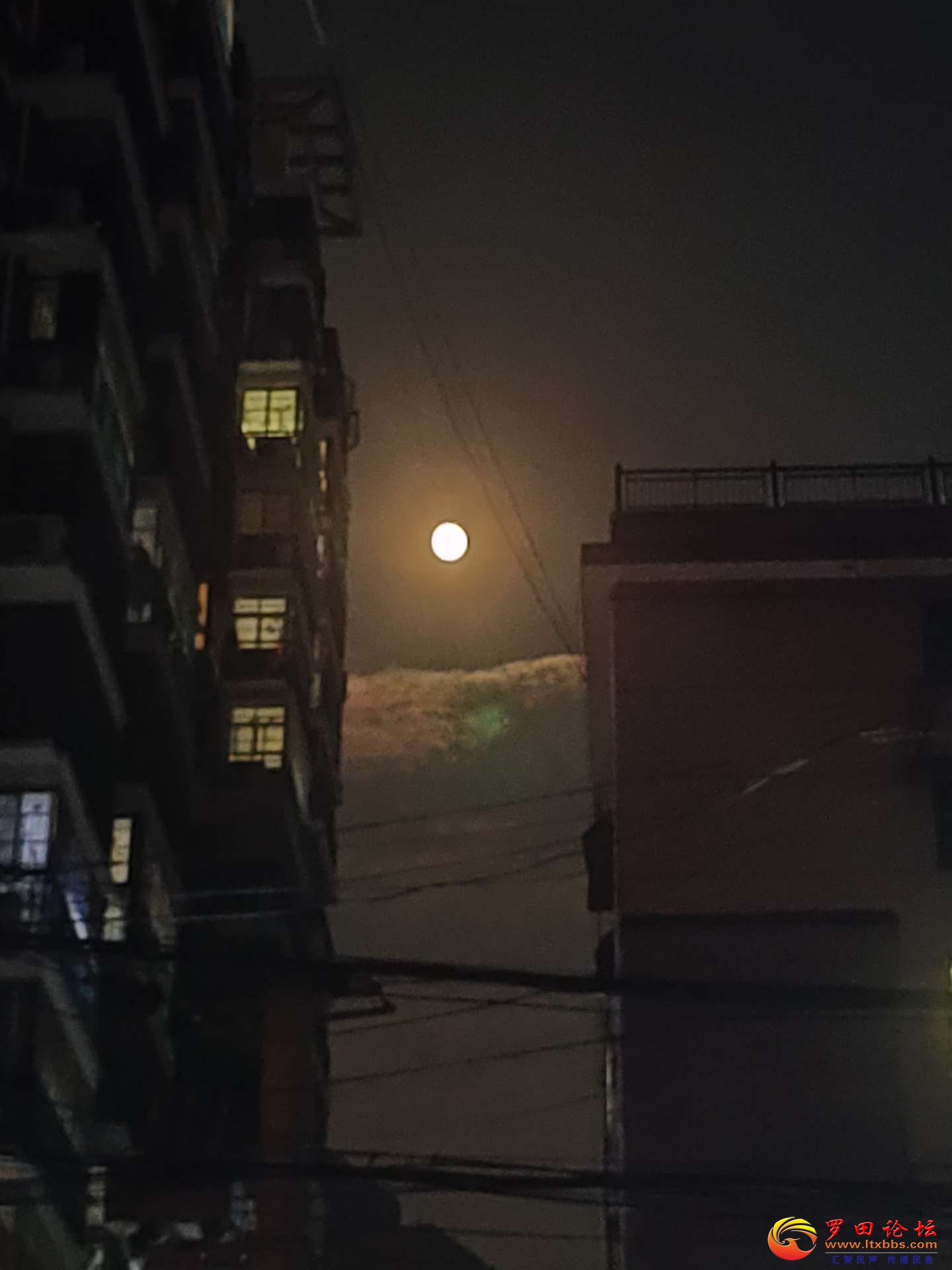 20220912102529front2_0_1160_FjHdc1M0hXETbgHNp4hCfGP8TU1y.jpg