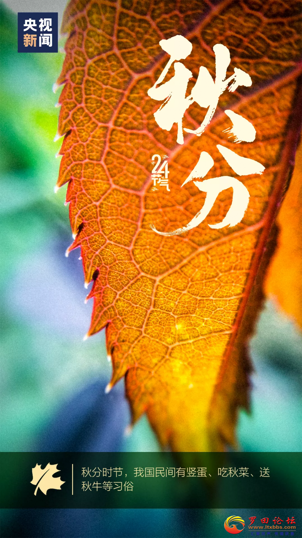 084745apx1nvhpmazm6zv6.png