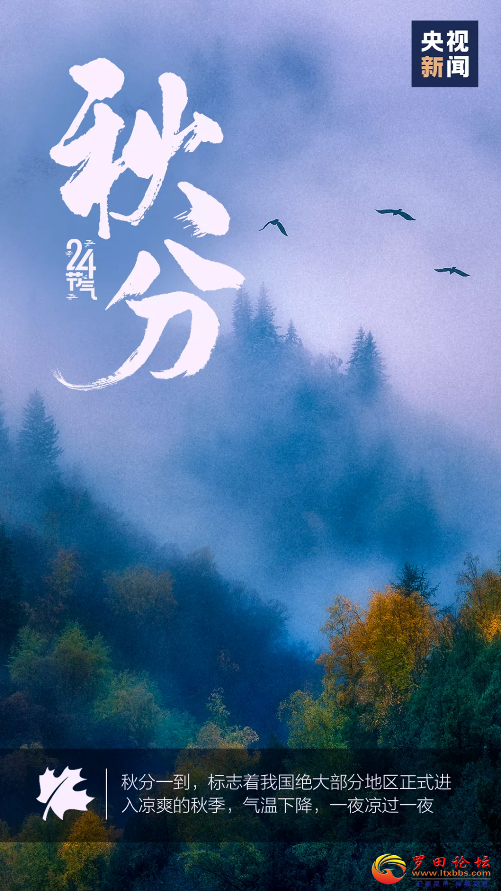 085112x40ds0w0goo4y09g.png