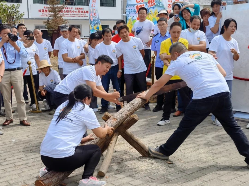 171713y6764mud.jpg