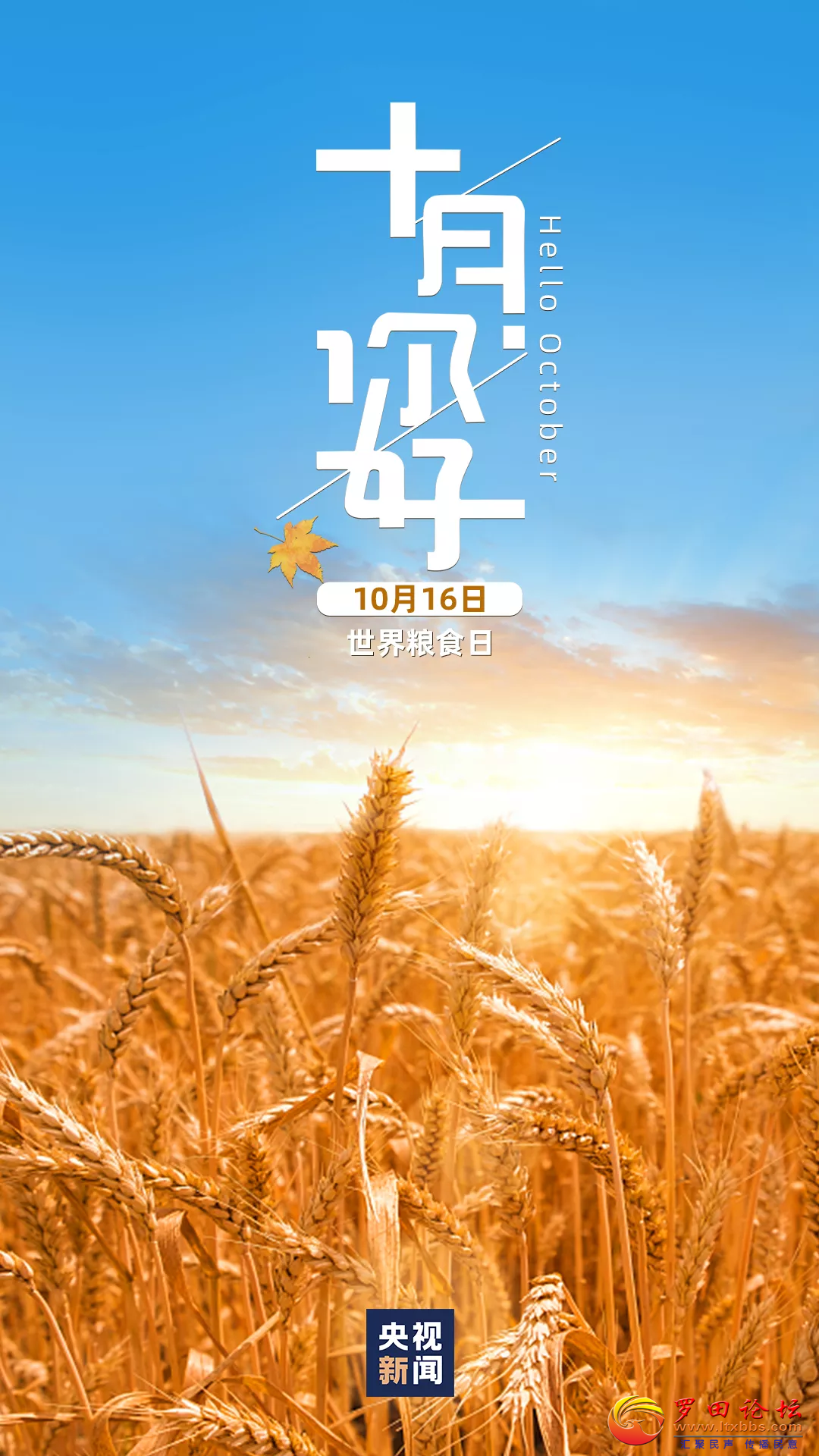 20221016091934front2_0_1160_FkCQr4KA8WkQYN9BjbQ3ZJrVxLxS.png