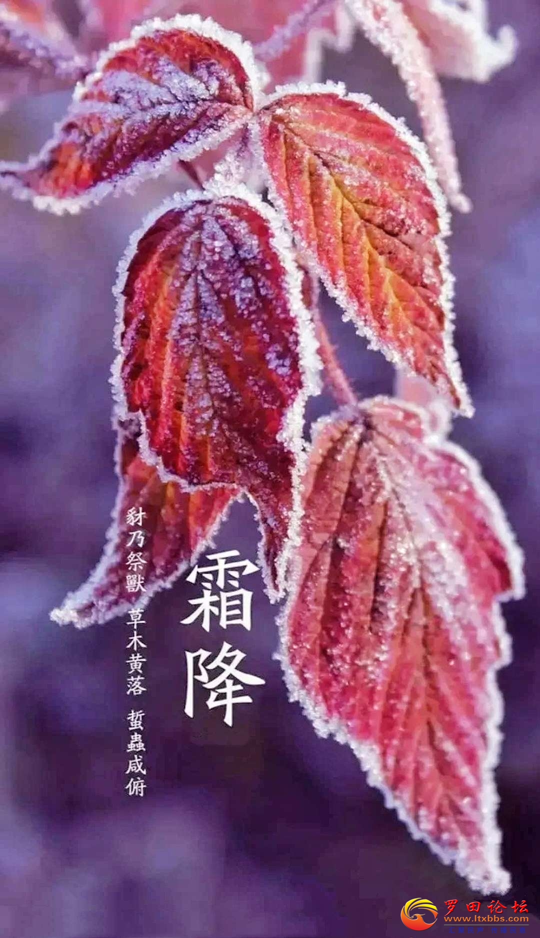 20221024185218front2_0_1160_FuyQmK5Y-VIrCHv8mfbPVmkKV_hy.jpg