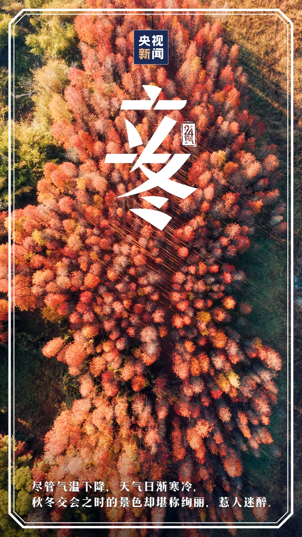 20221107155109front2_0_1160_losJdvnrpnRAw4i14s1mWdaAFyAV.png
