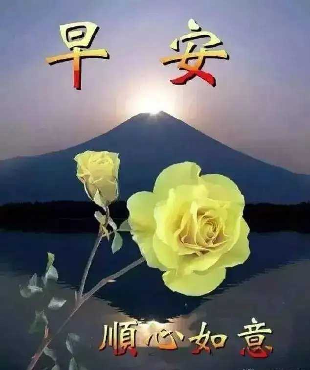 src=http___p7.itc.cn_images01_20210322_0181bf3e728c44ba8291bbb2c5a07798.jpeg
