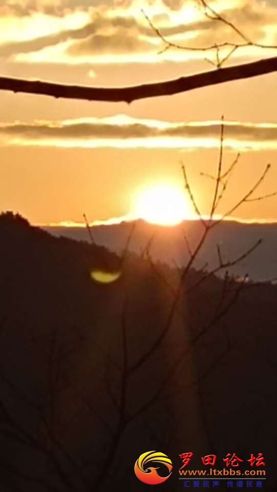 20221129190037front2_0_19516_Fr1GwGar7ke8Wna-CJc4NcJ7LprP.jpg