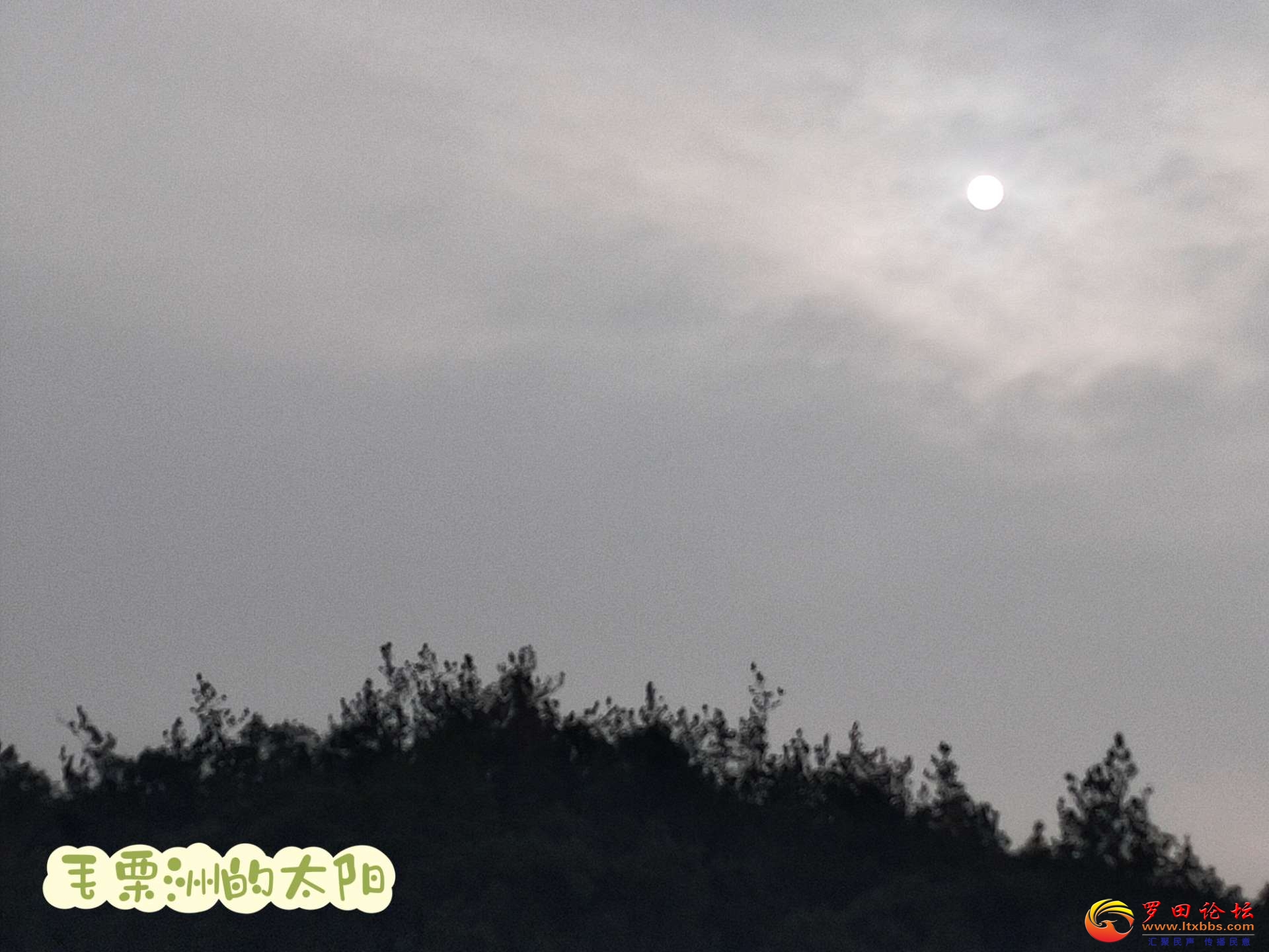 20221211181022front2_0_1160_FhUdG6jRRmsXQM4Di_1HXHt27CBQ.jpg
