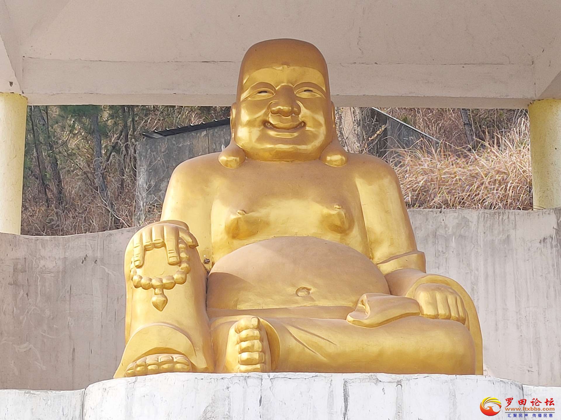 20221212000836front2_0_41716_Fr1wZT-cA9t_P3JIeGUIWCArC0xy.jpg