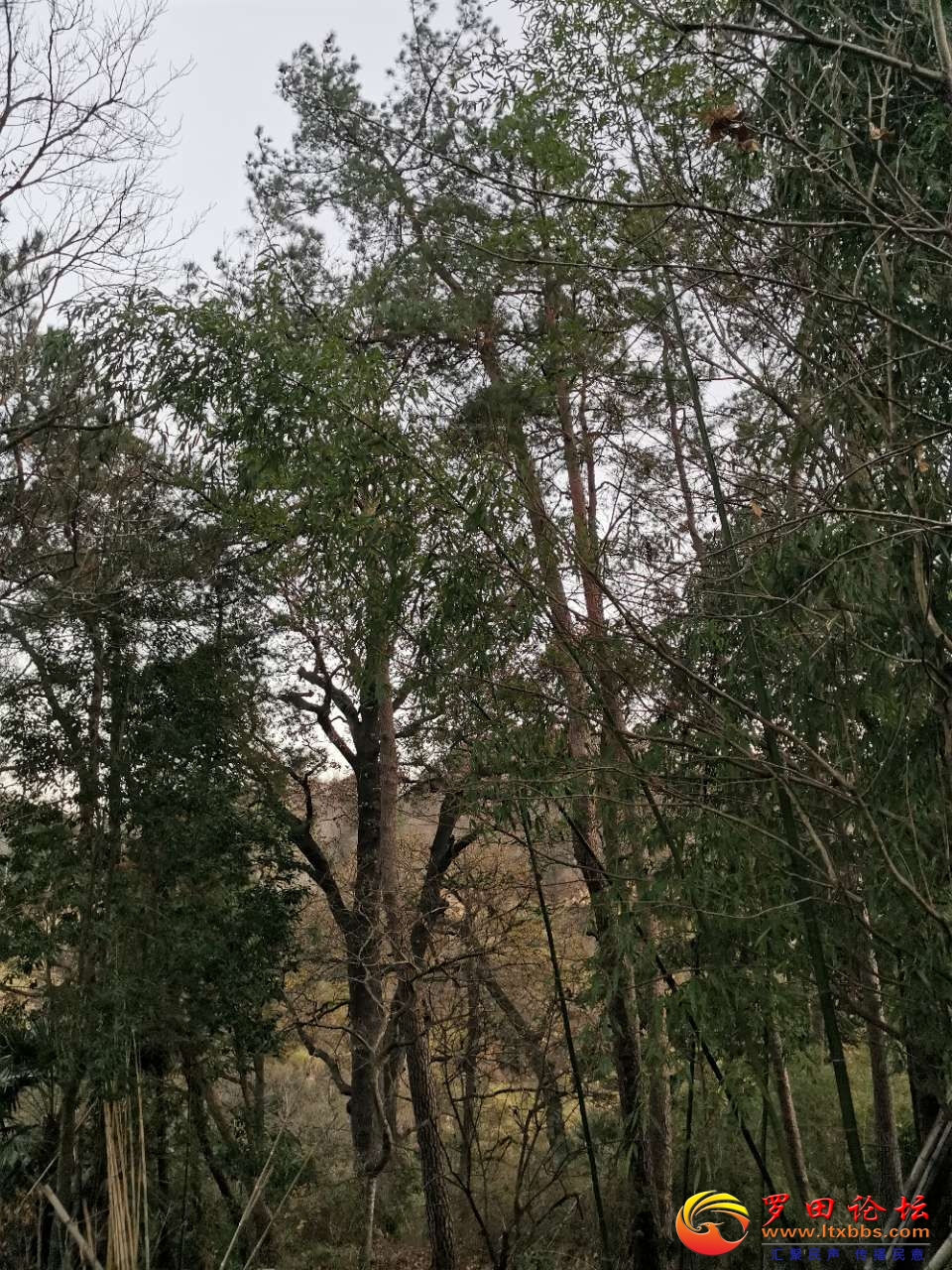 20221213_63889_1670926658868.jpg