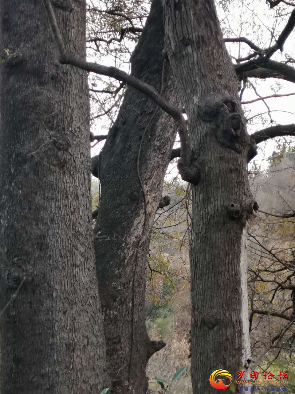 20221213_63889_1670926657085.jpg